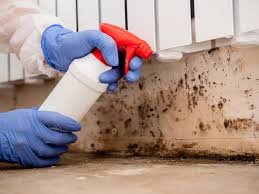 Best Emergency Mold Remediation  in Laurens, SC